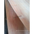 6mm Pencil Cedar Plywood Poplar Core E1 Cola BB / CC Grade